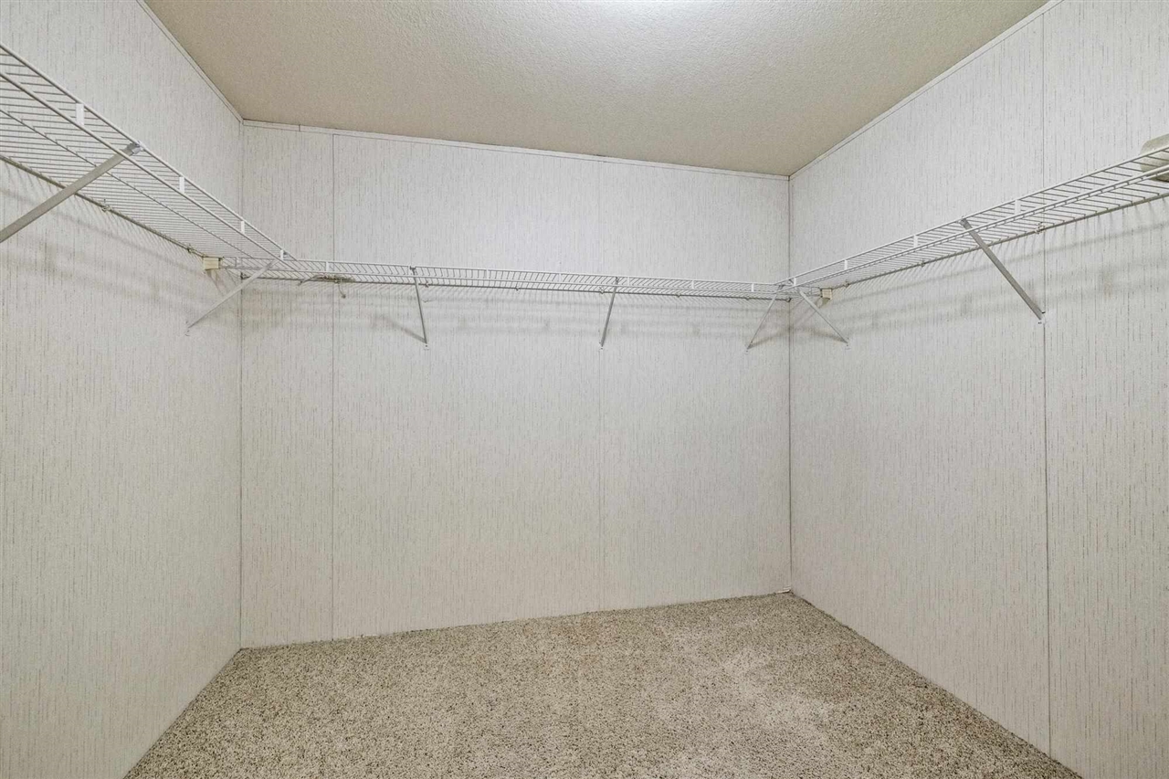 12660 Red Chestnut #57 # 57