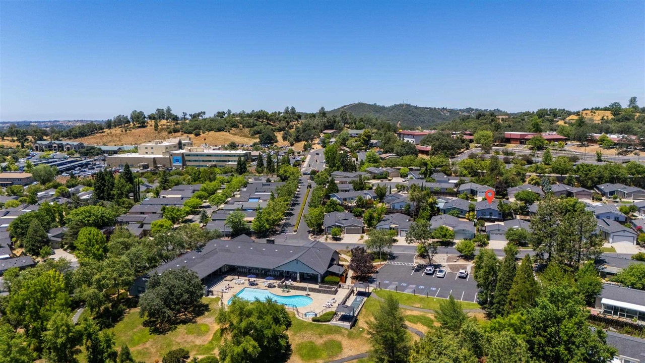 12660 Red Chestnut #57 # 57