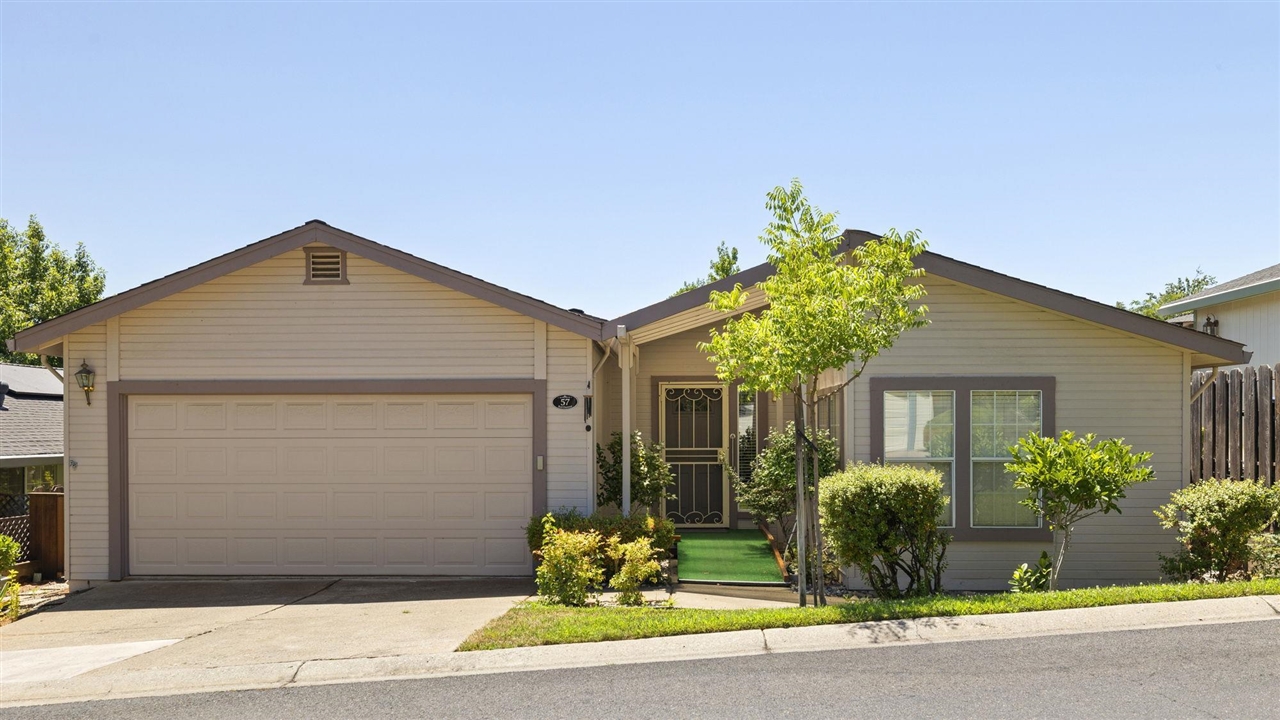 12660 Red Chestnut #57 # 57