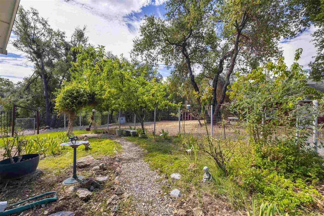 16943 Buckhorn Mountain Rd