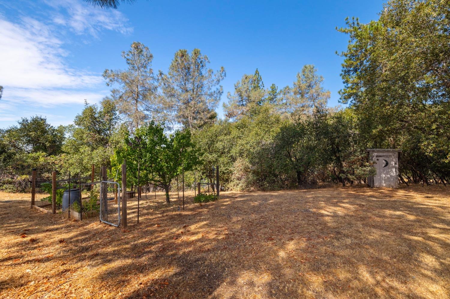 16943 Buckhorn Mountain Road