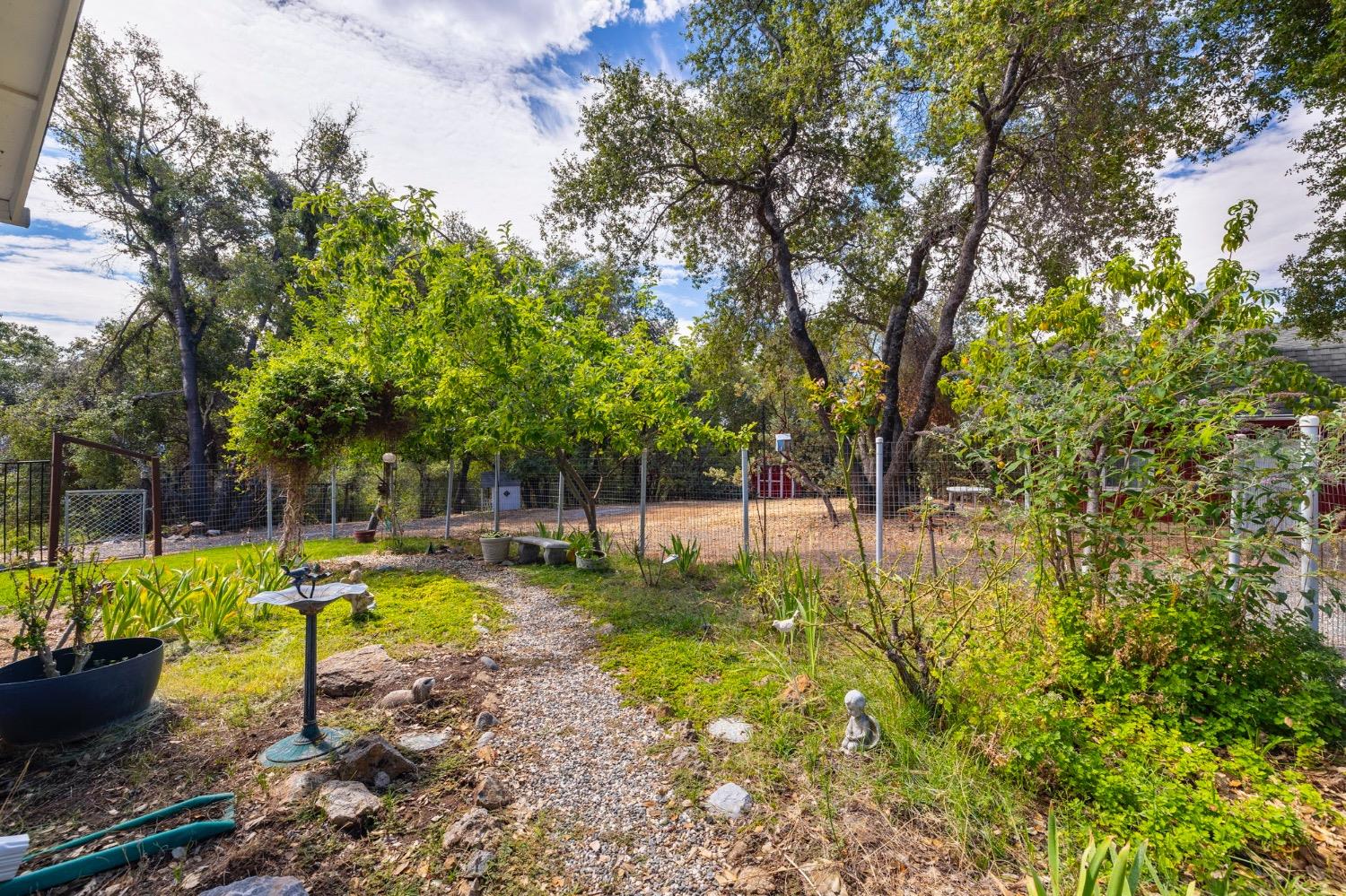 16943 Buckhorn Mountain Road