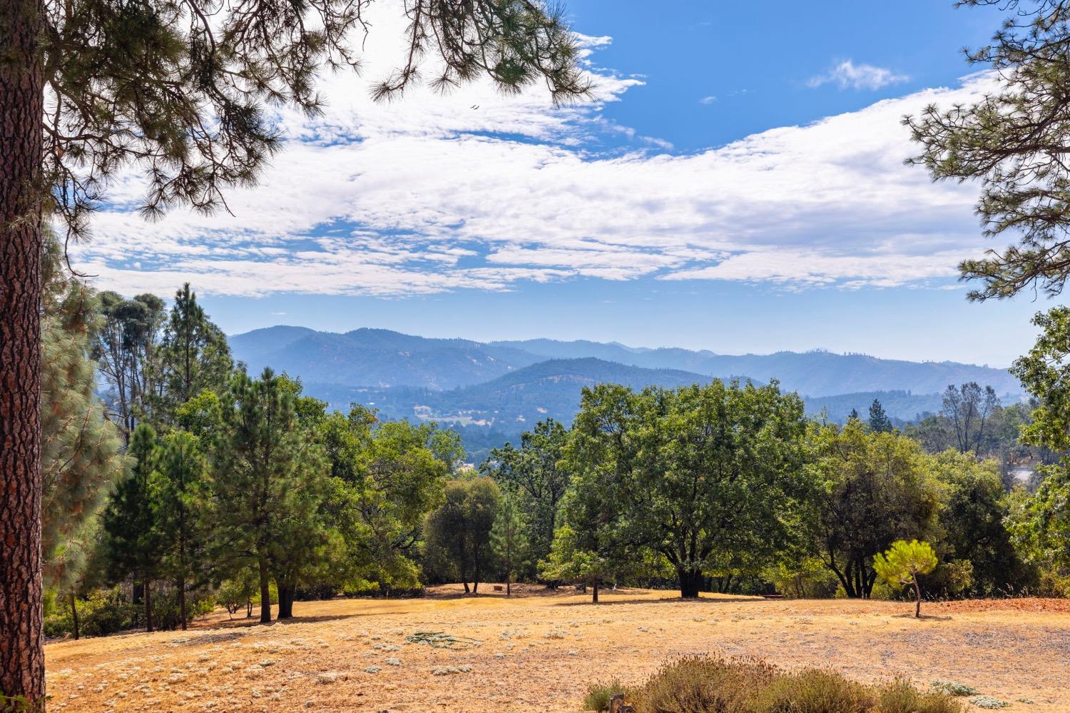 16943 Buckhorn Mountain Road