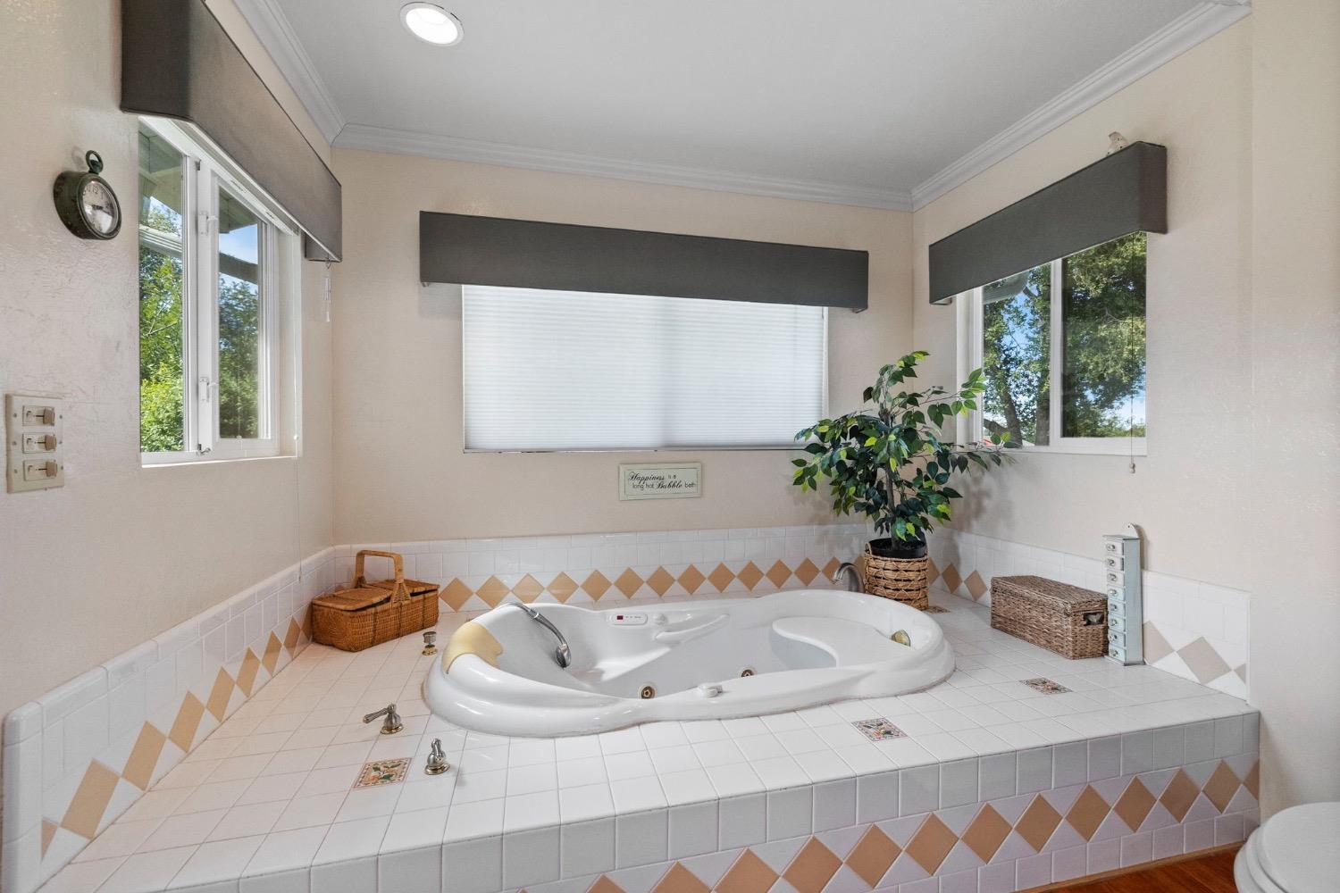 16943 Buckhorn Mountain Road