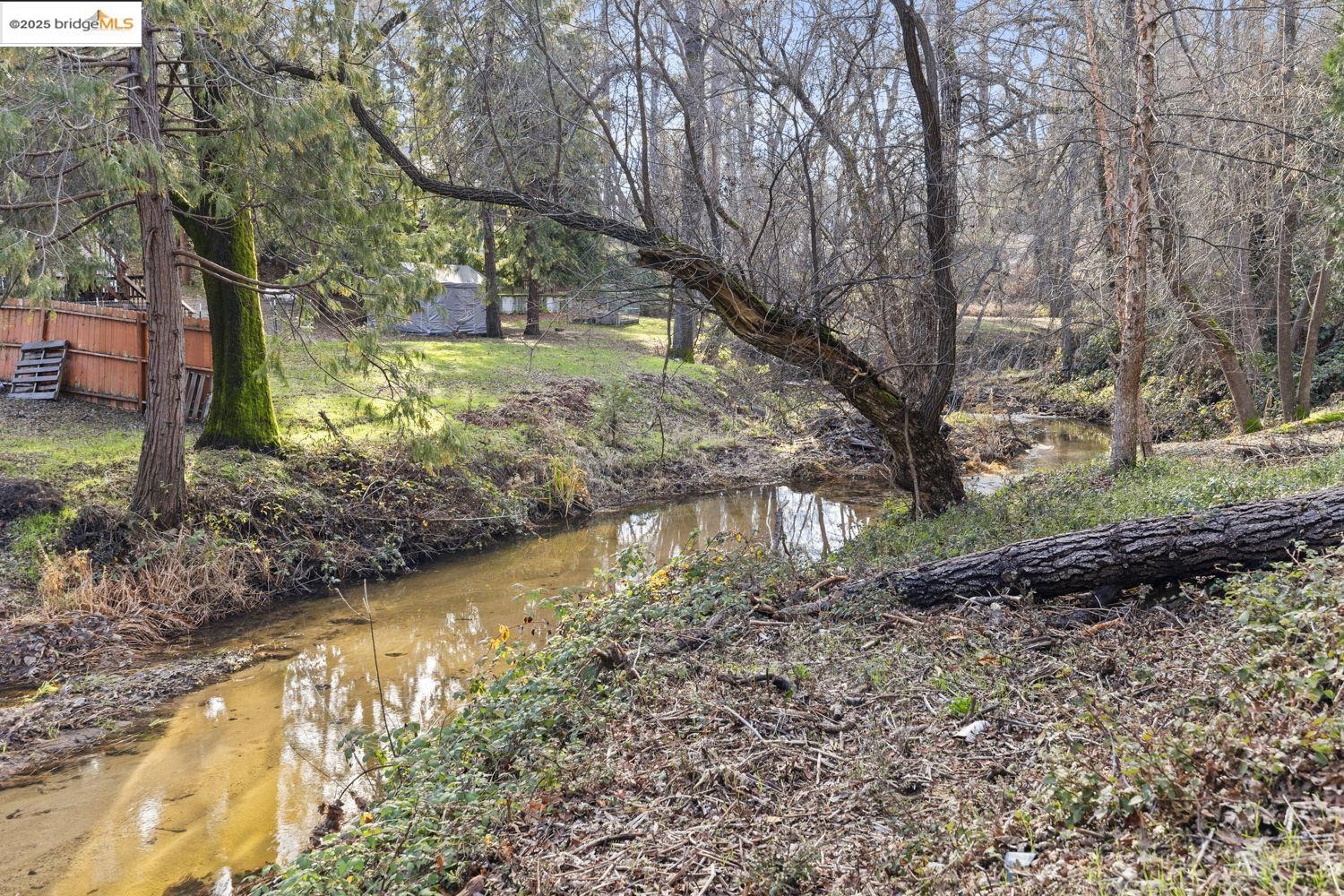 15409 Camino Del Parque S