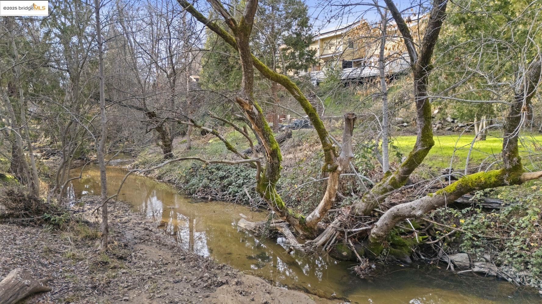 15409 Camino Del Parque S