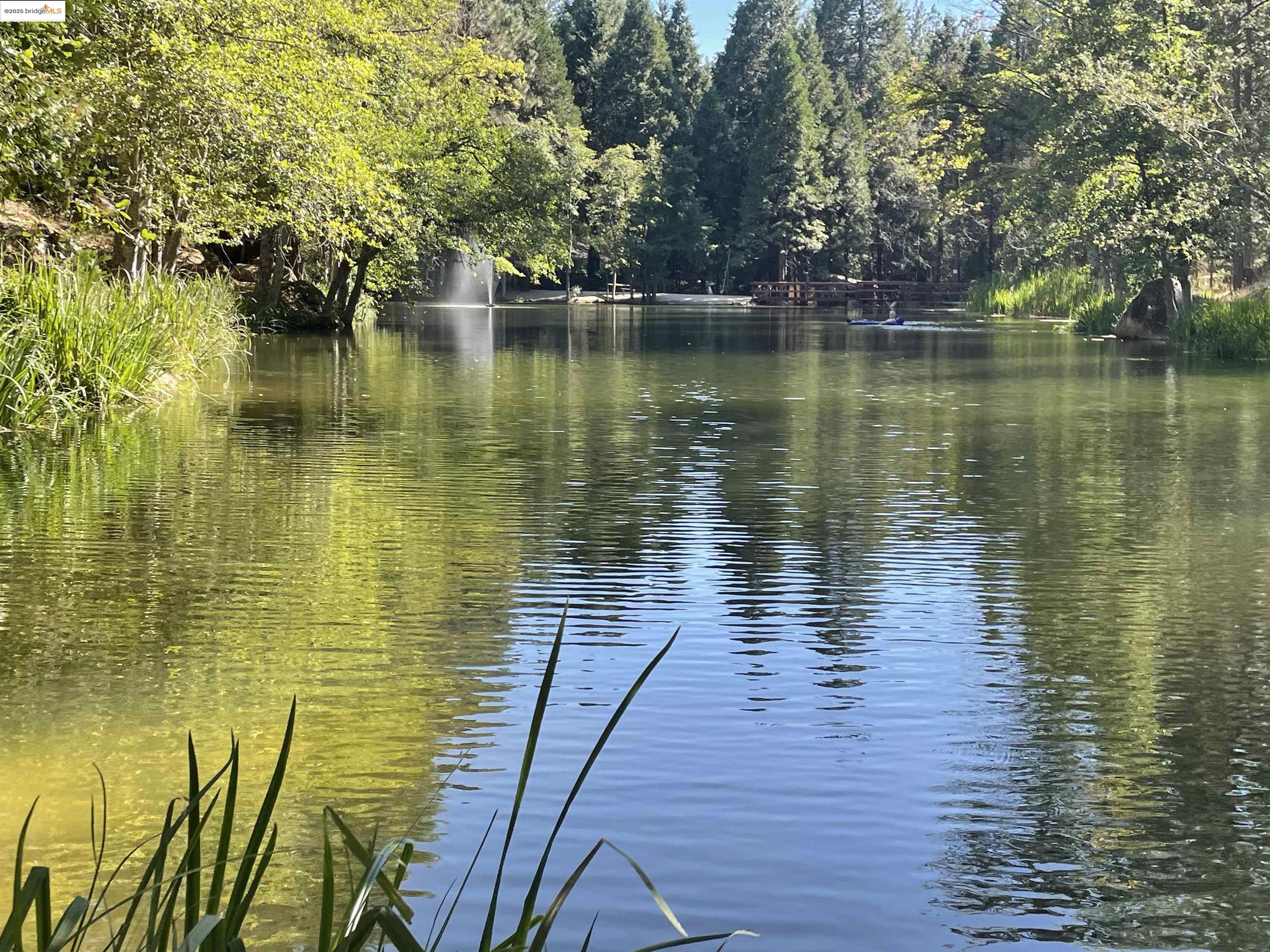 22393 Colorado River South