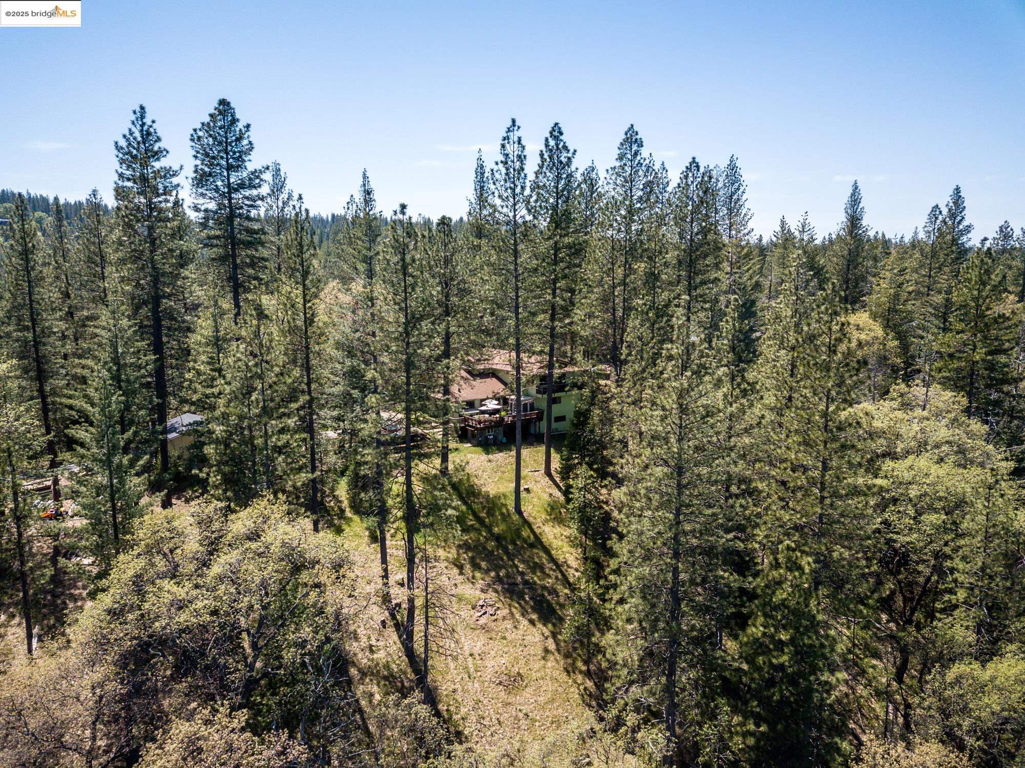 21034 Morgan Dr