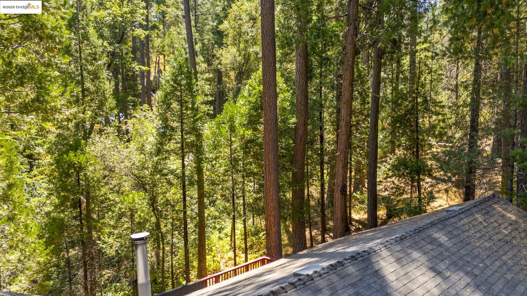 20055 Pine Mountain Drive