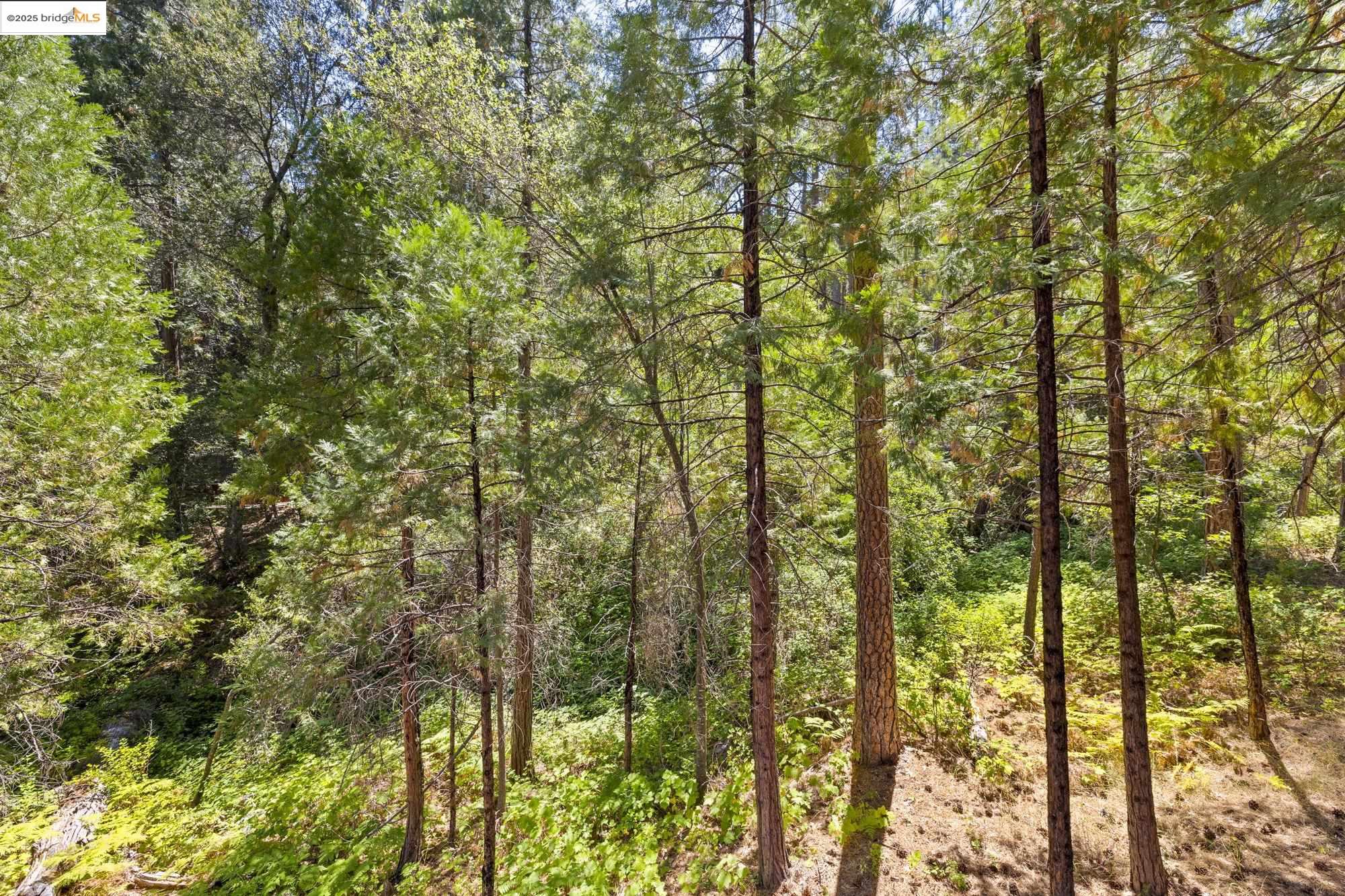 20055 Pine Mountain Drive