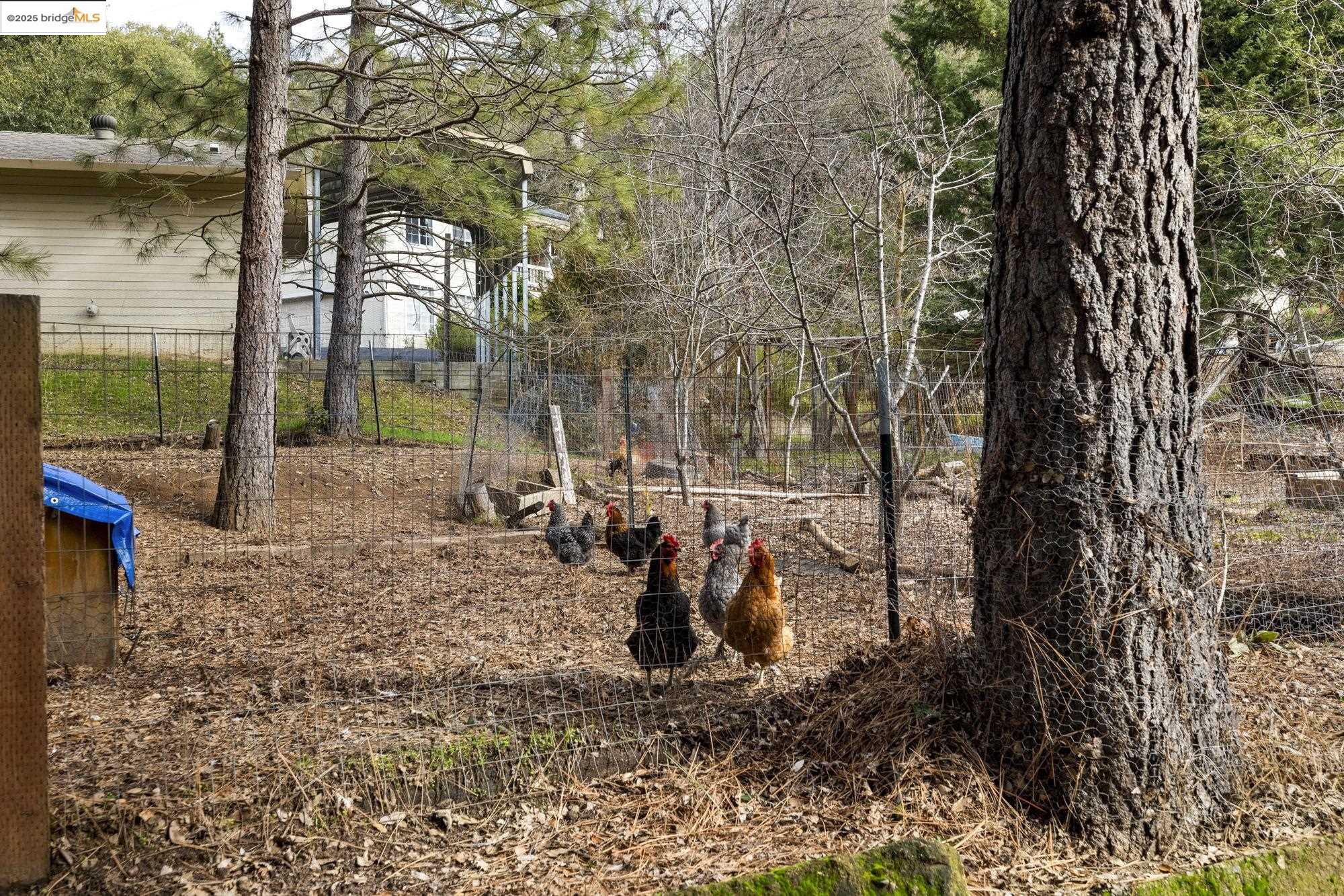 21550 Phoenix Lake Rd