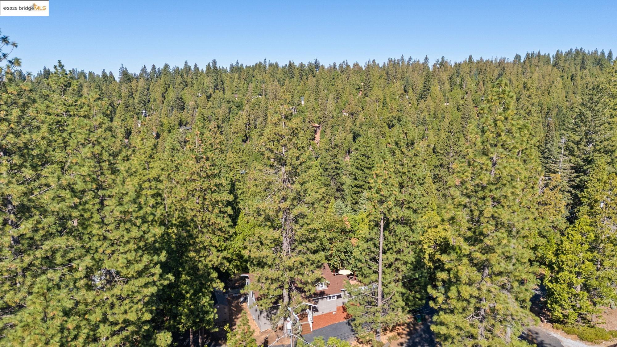 23890 Yellow Pine Rd