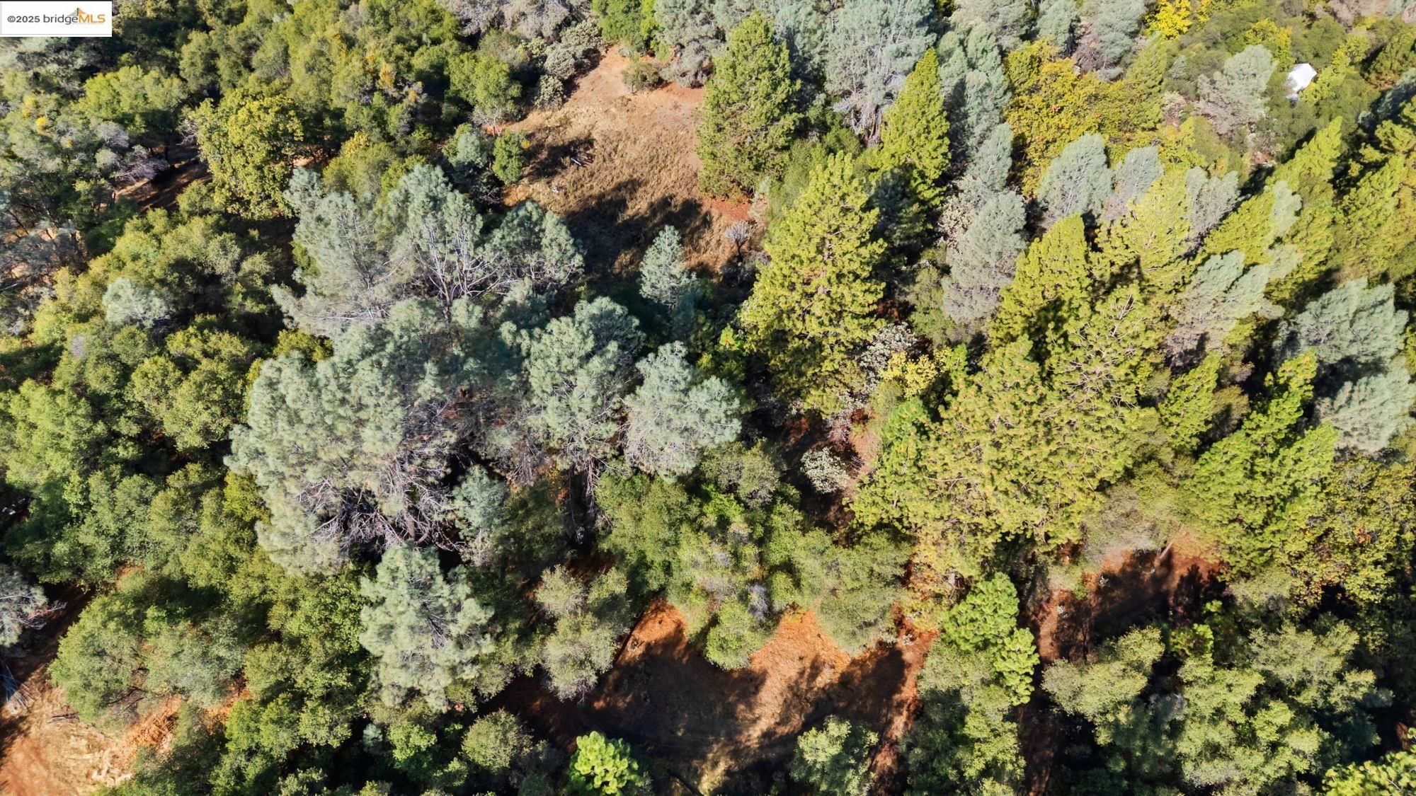 15895 Morris Rd, Sonora