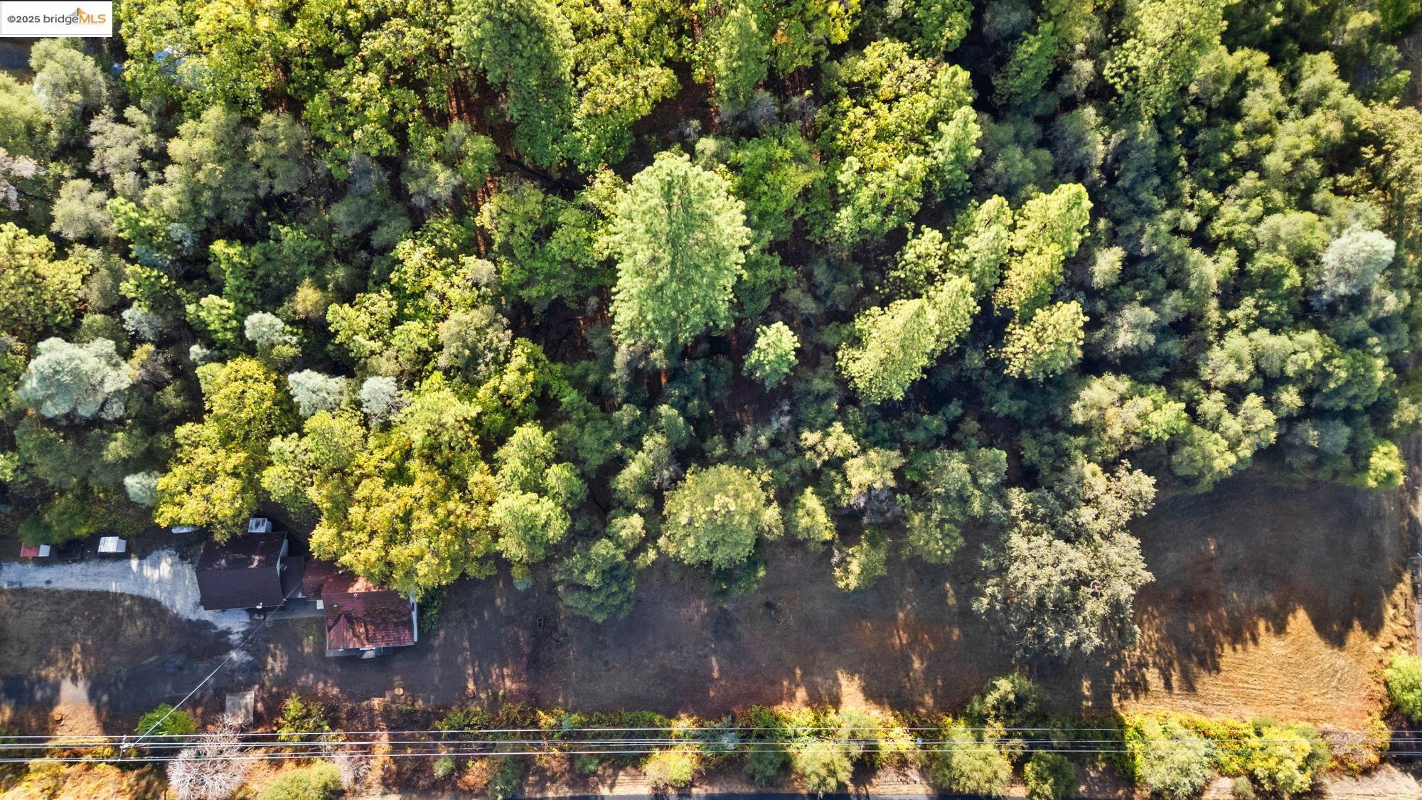 15895 Morris Rd, Sonora