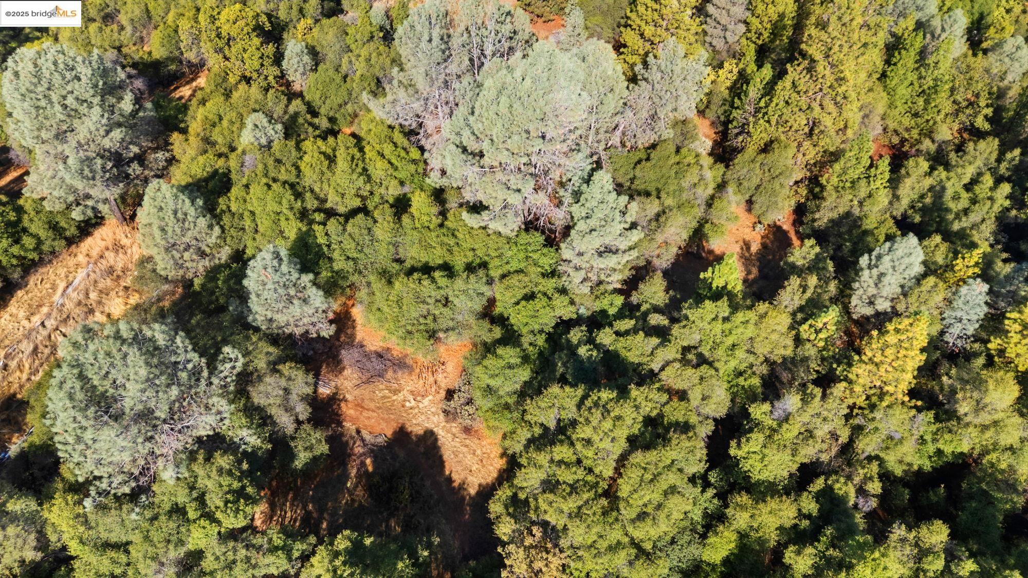 15895 Morris Rd, Sonora