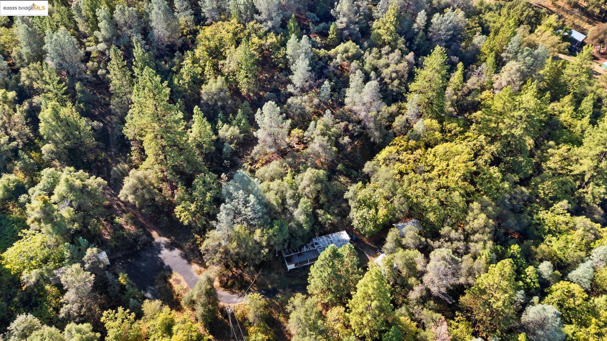 15895 Morris Rd, Sonora