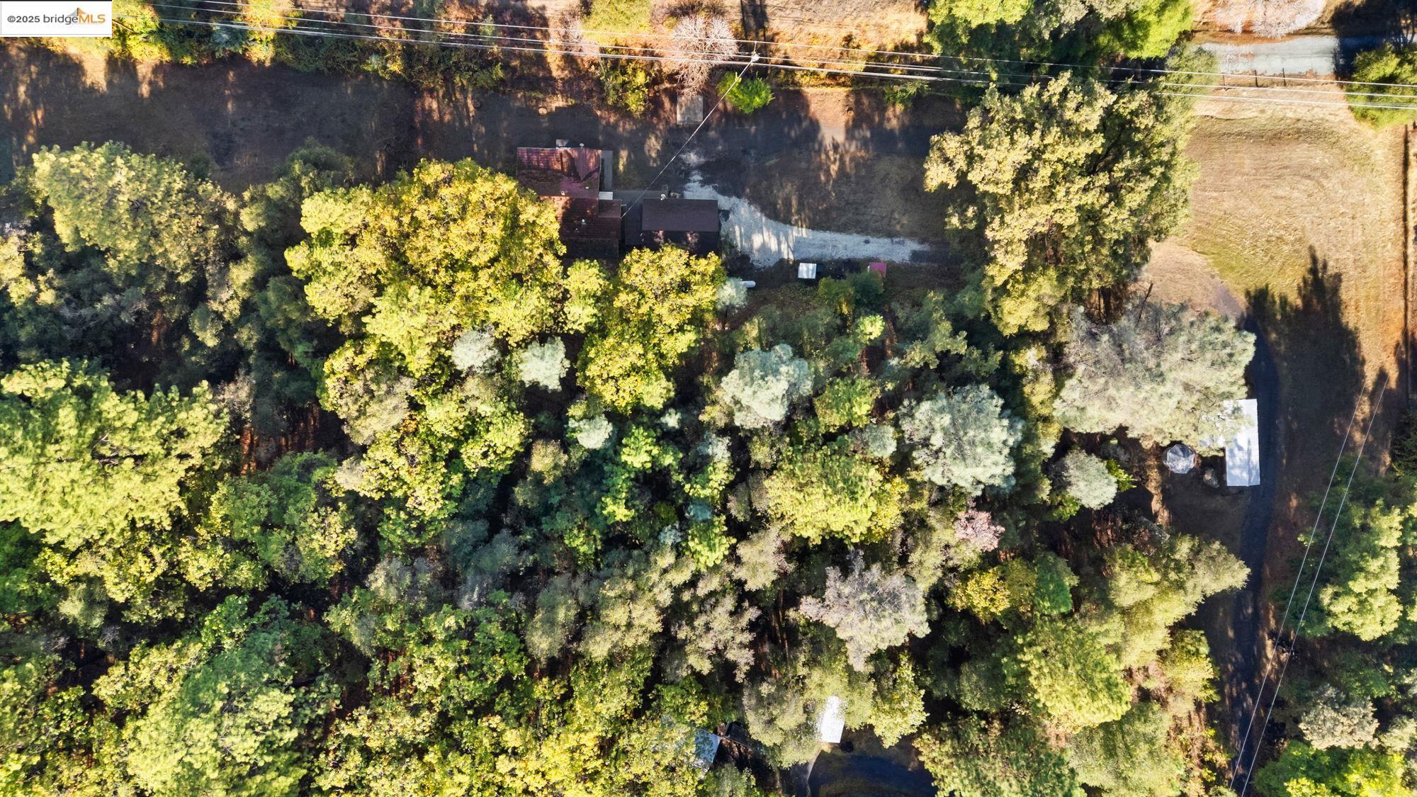 15895 Morris Rd, Sonora