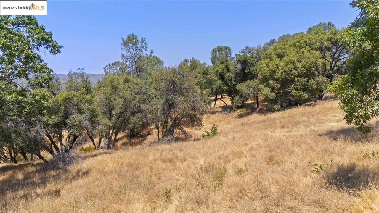 16400 Crestridge Ave