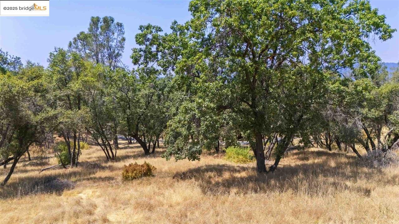 16400 Crestridge Ave