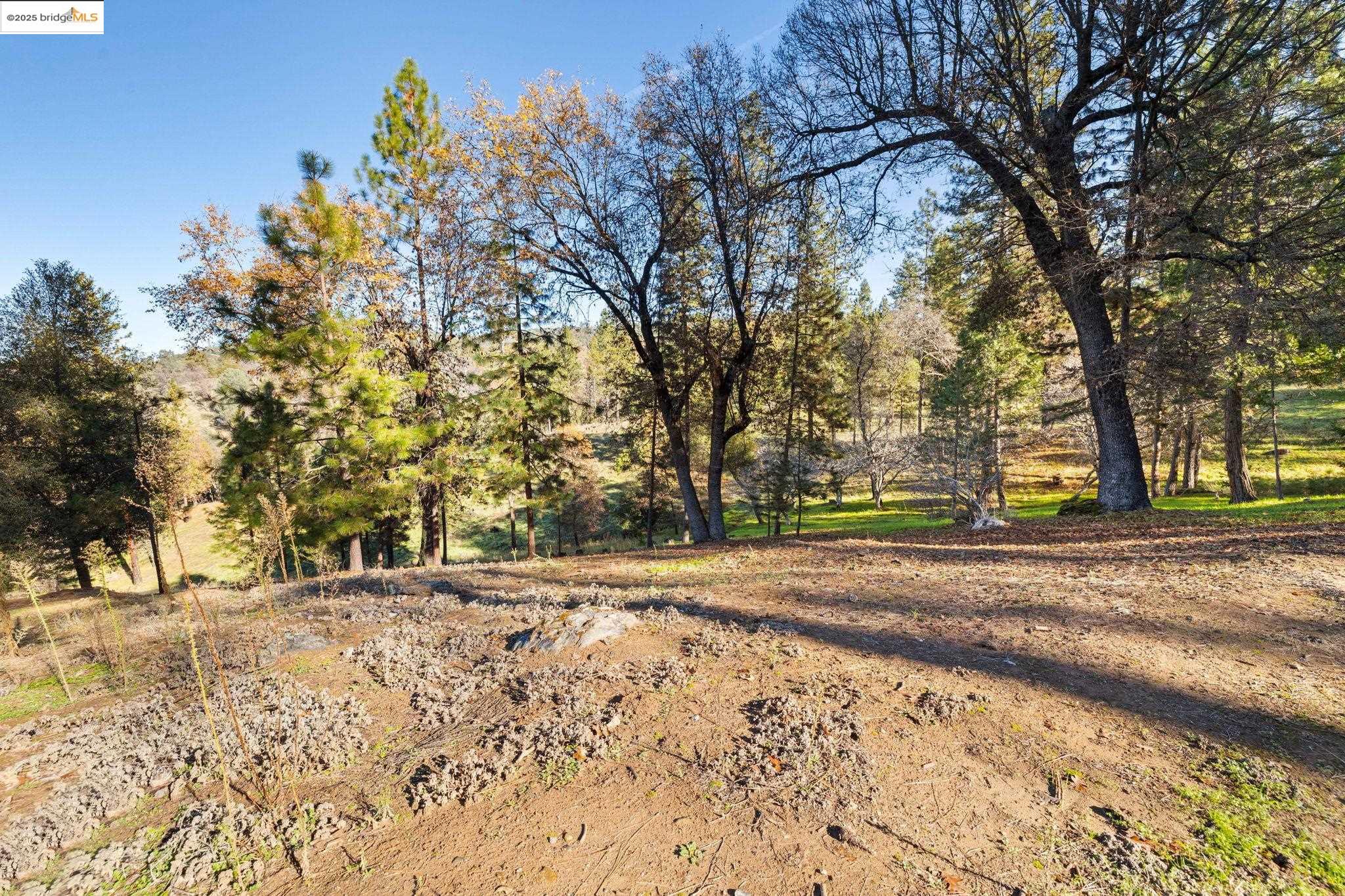 19364 Ferretti Rd