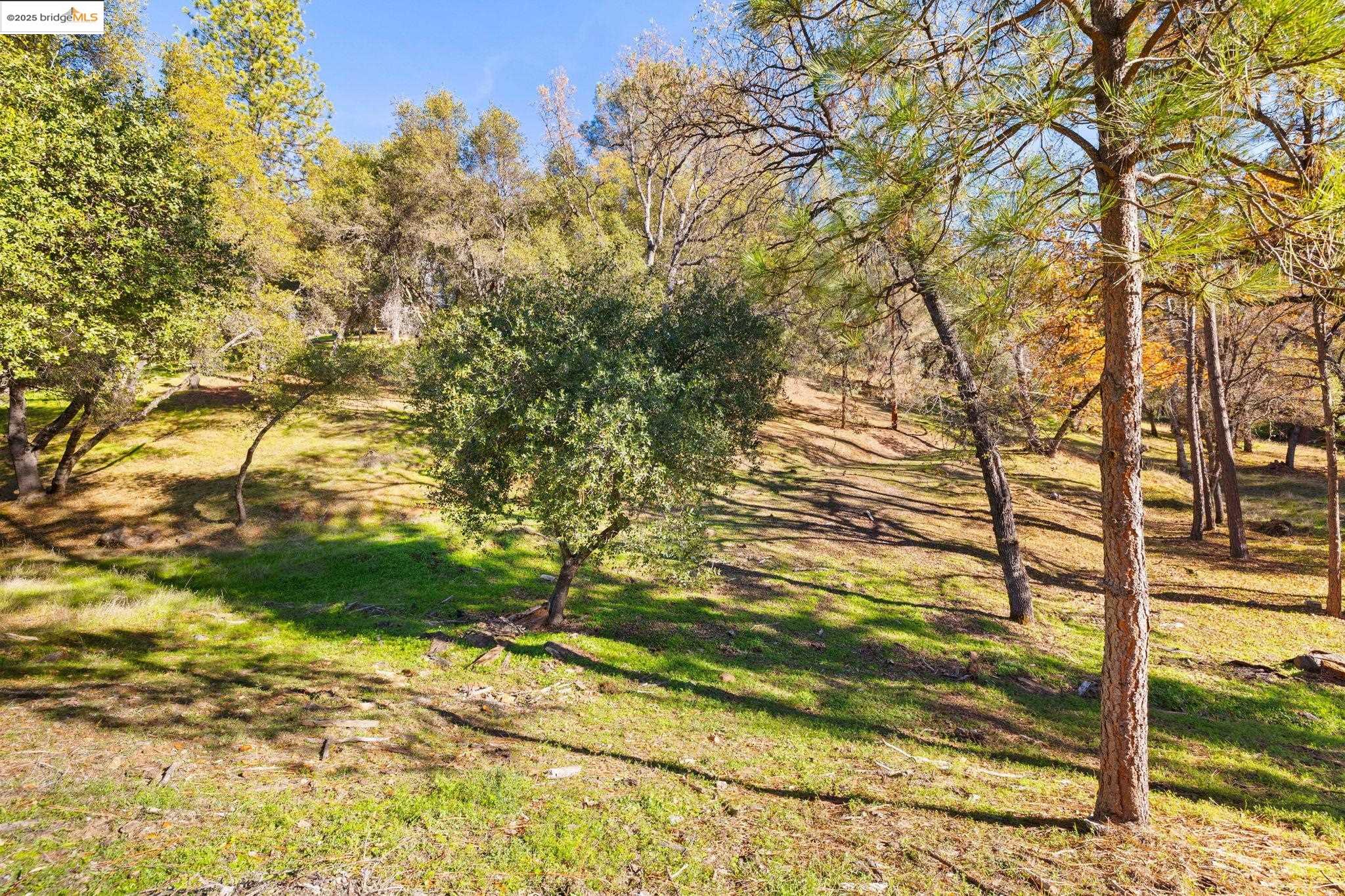 20465 Pine Mountain Dr