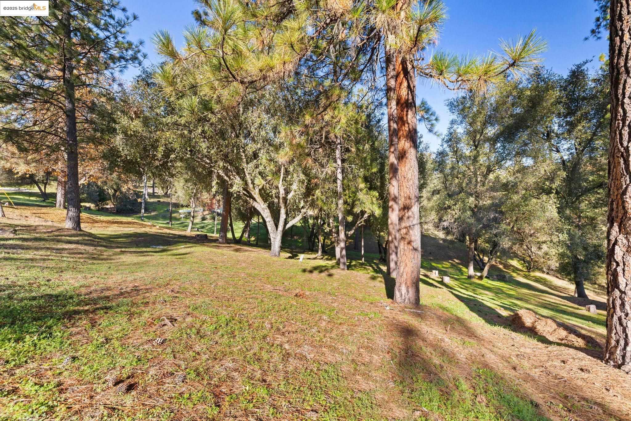 6/235 Ferretti Rd