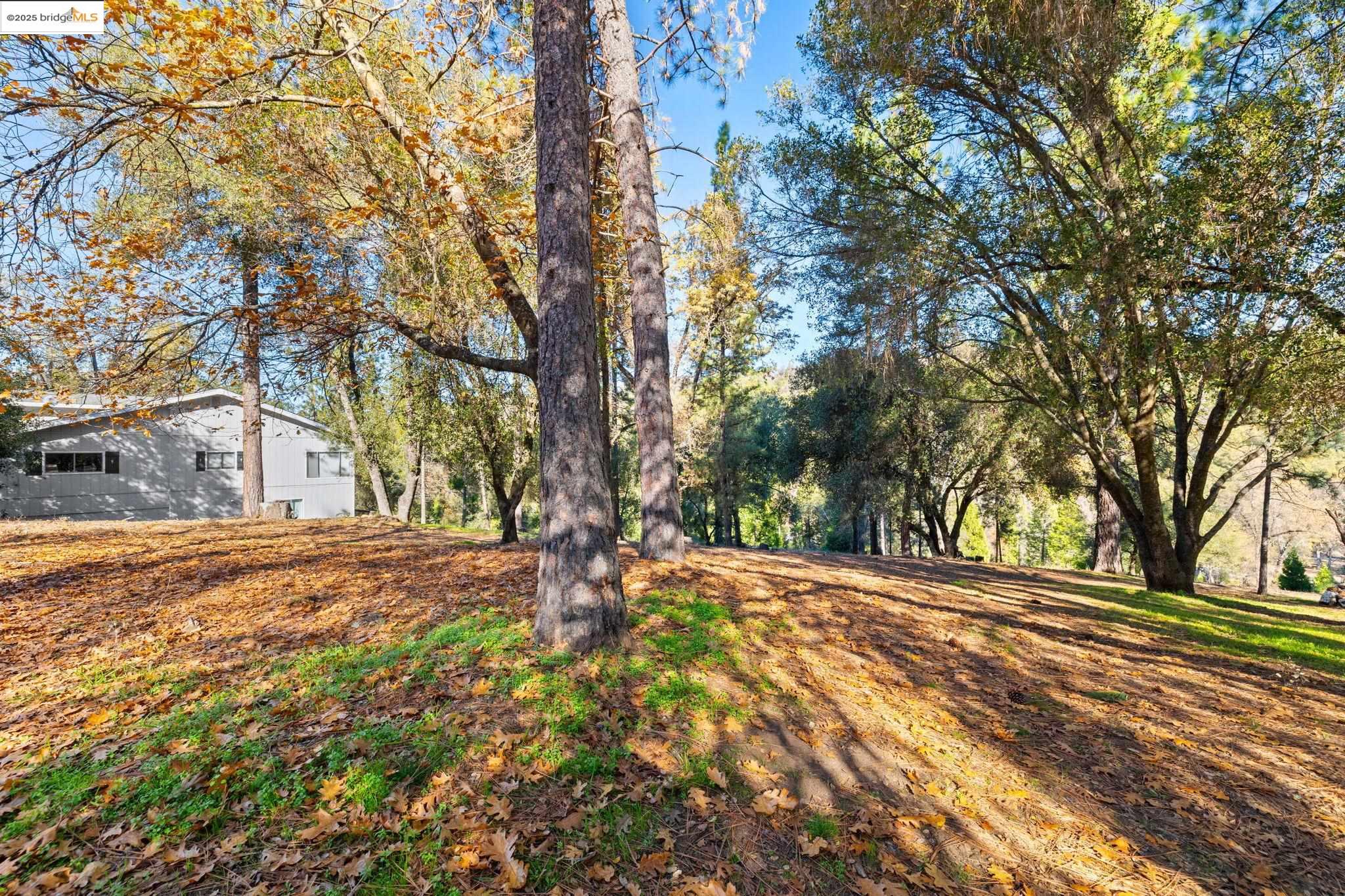 19426 Ferretti Rd