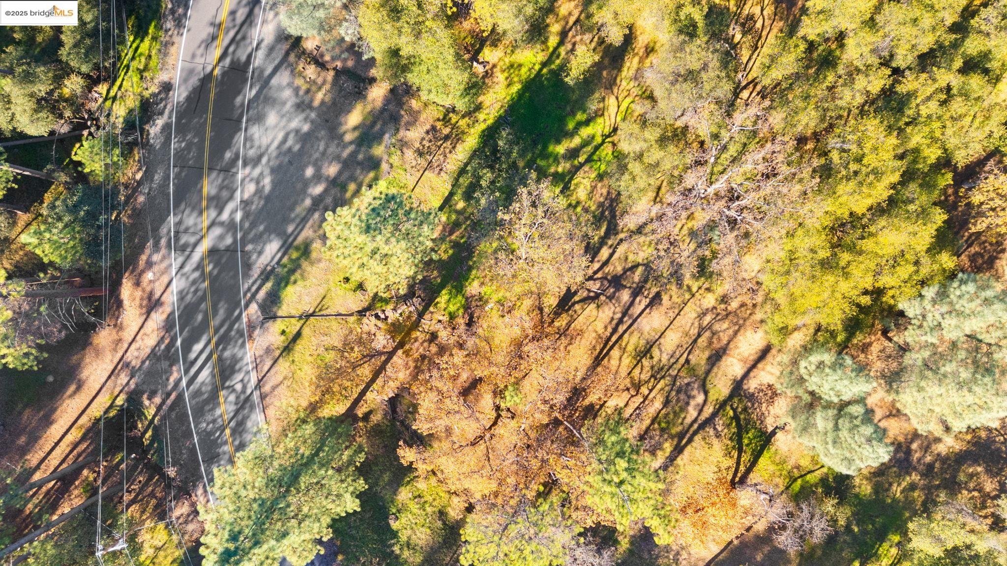 7/239 Digger Pine St