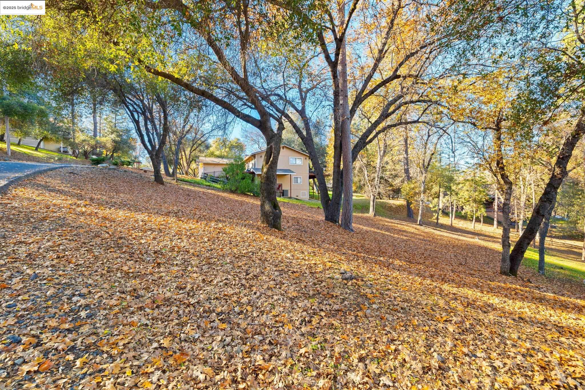 7/239 Digger Pine St