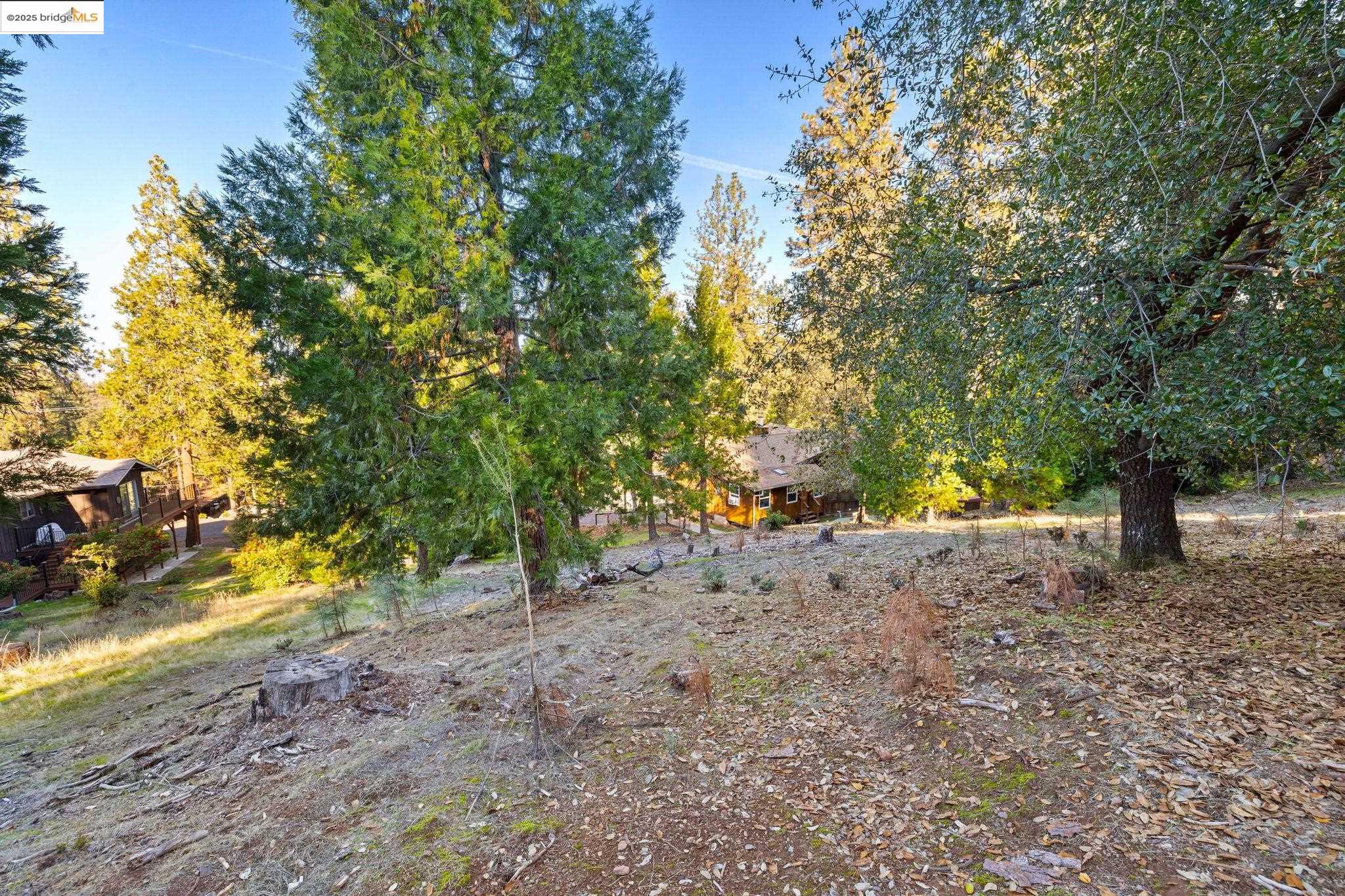10/008 McKinley Wy