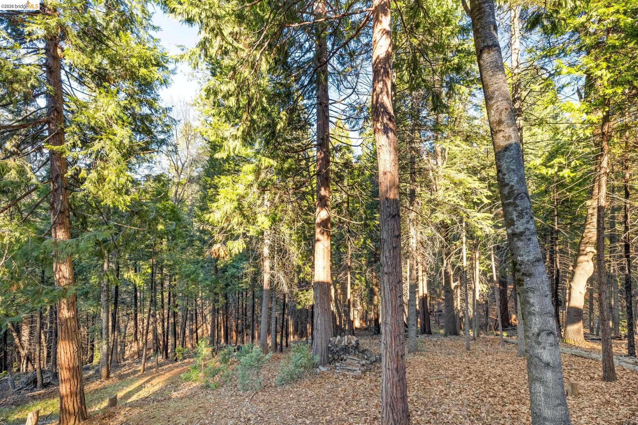24248 Martingale Ln