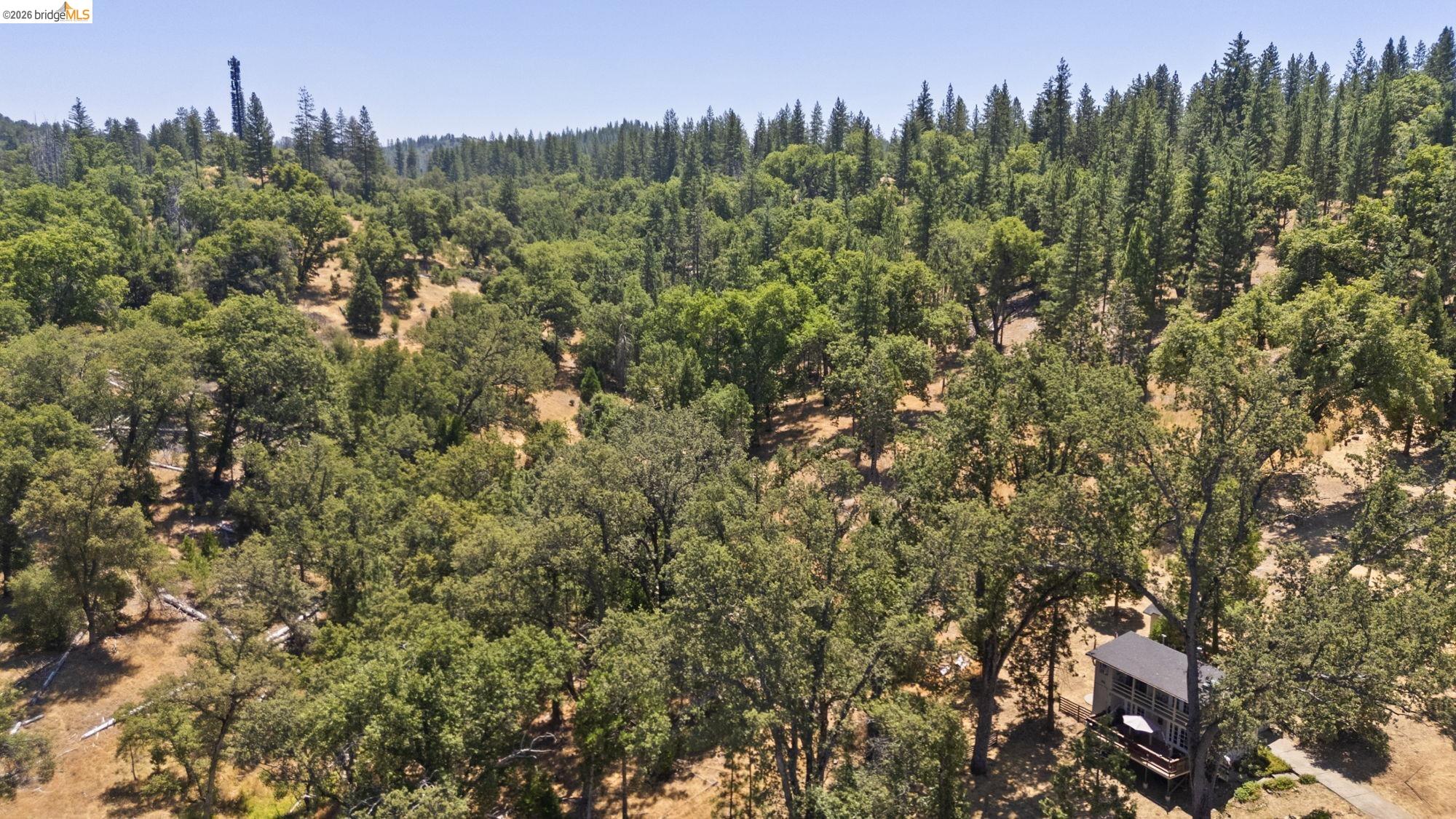 20785 Buttercup Cir