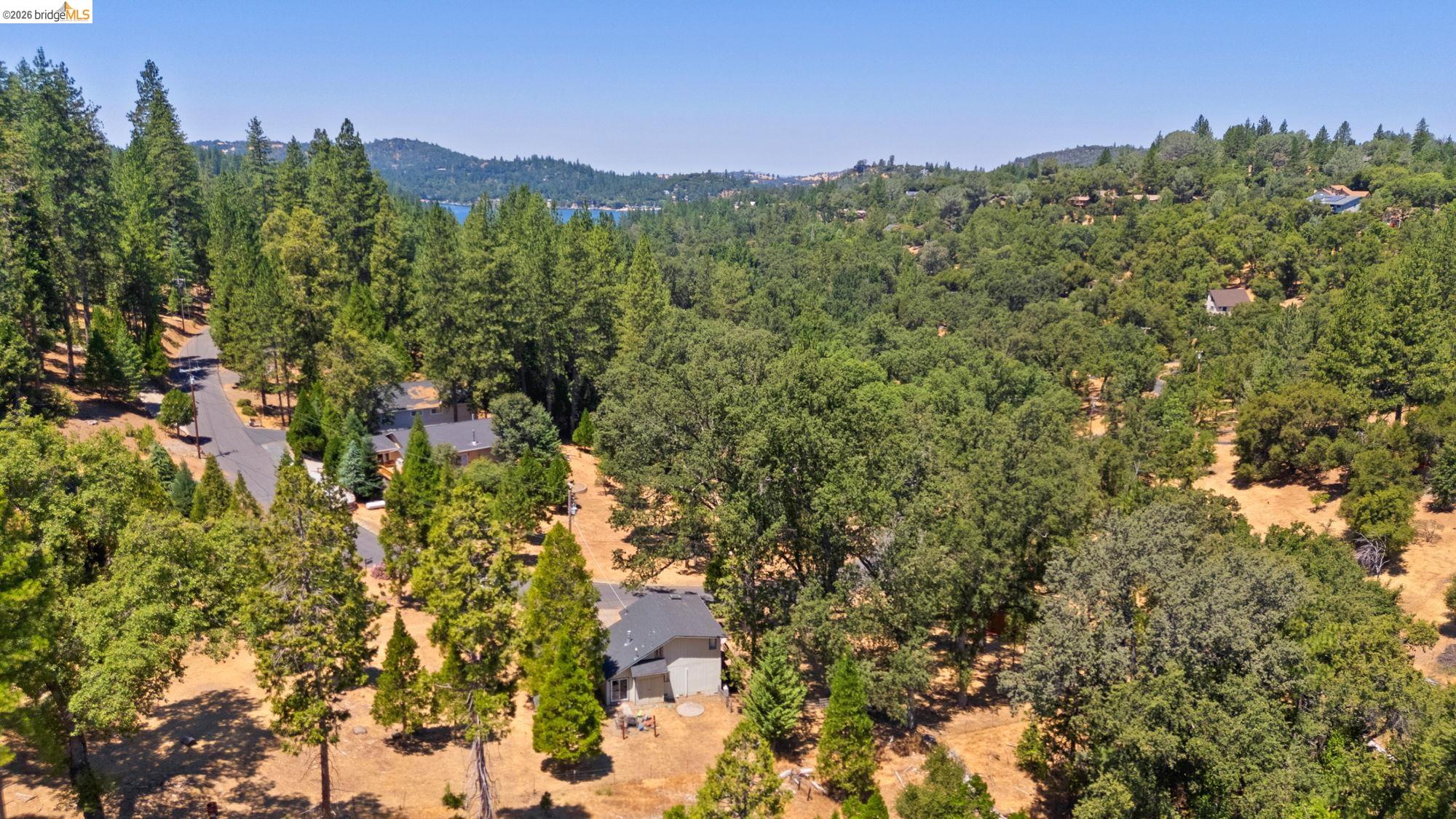20785 Buttercup Cir