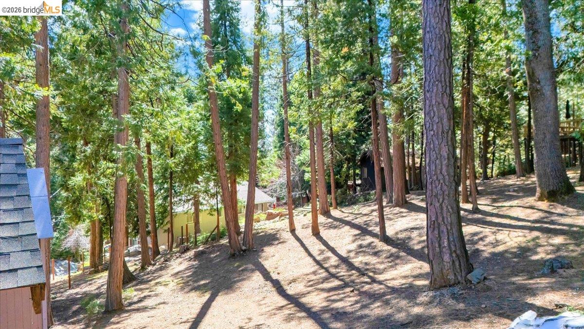 20753 Lama Tamalin Rd. +Lot 363