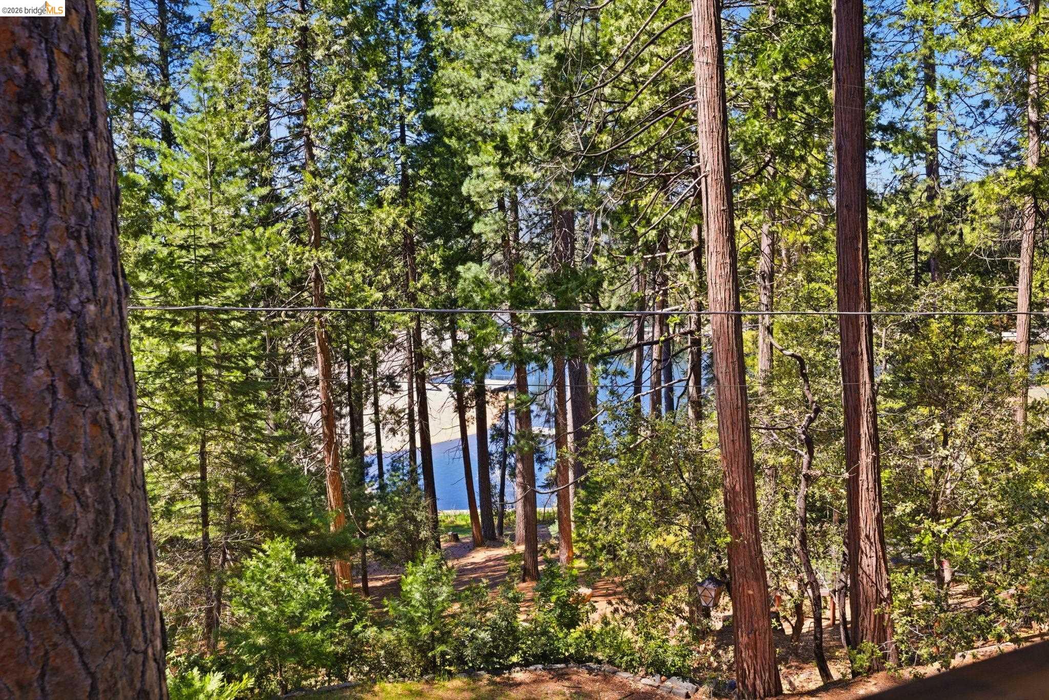 22334 Twain Harte Drive