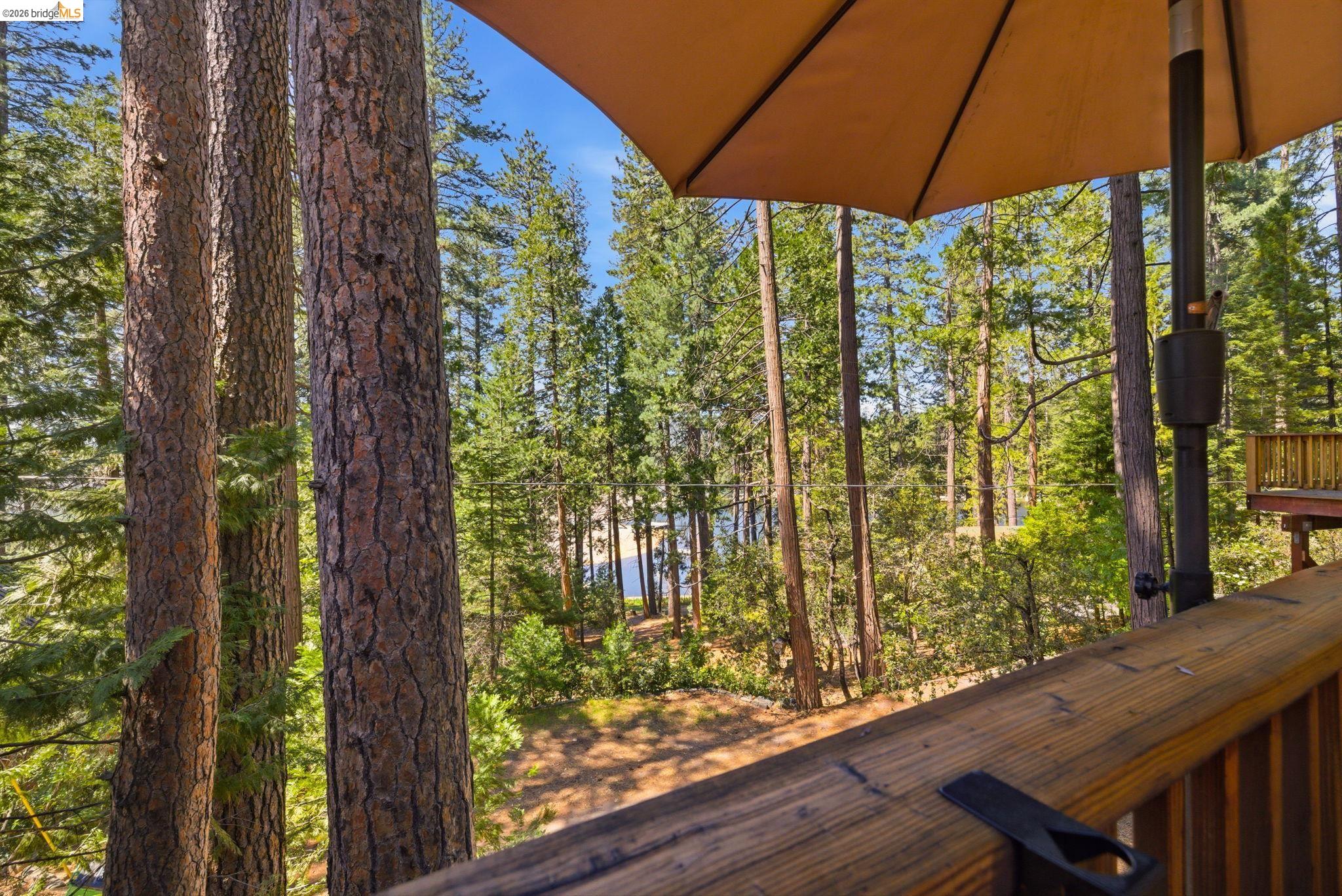 22334 Twain Harte Drive