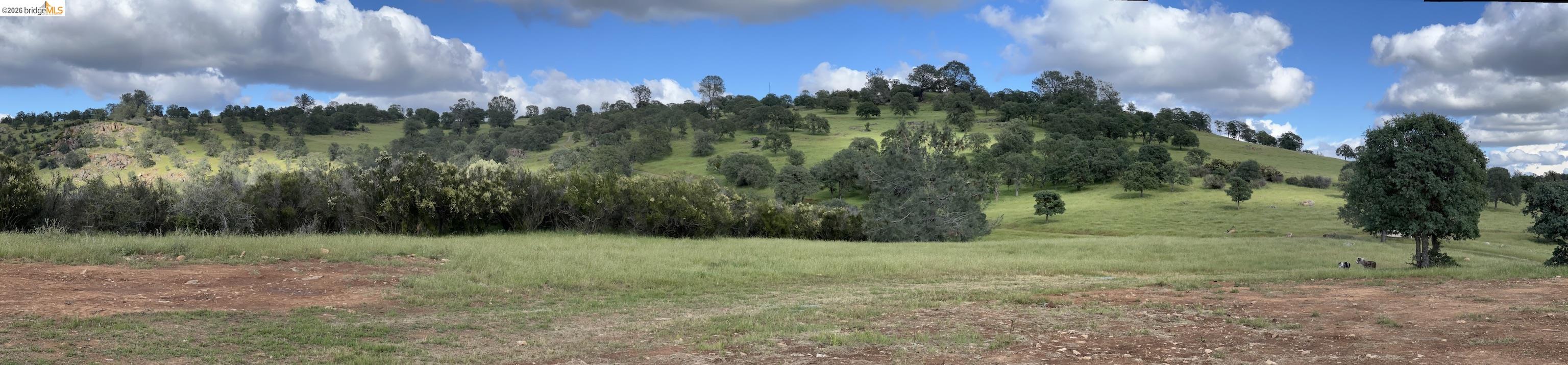 Palomino Ridge Rd
