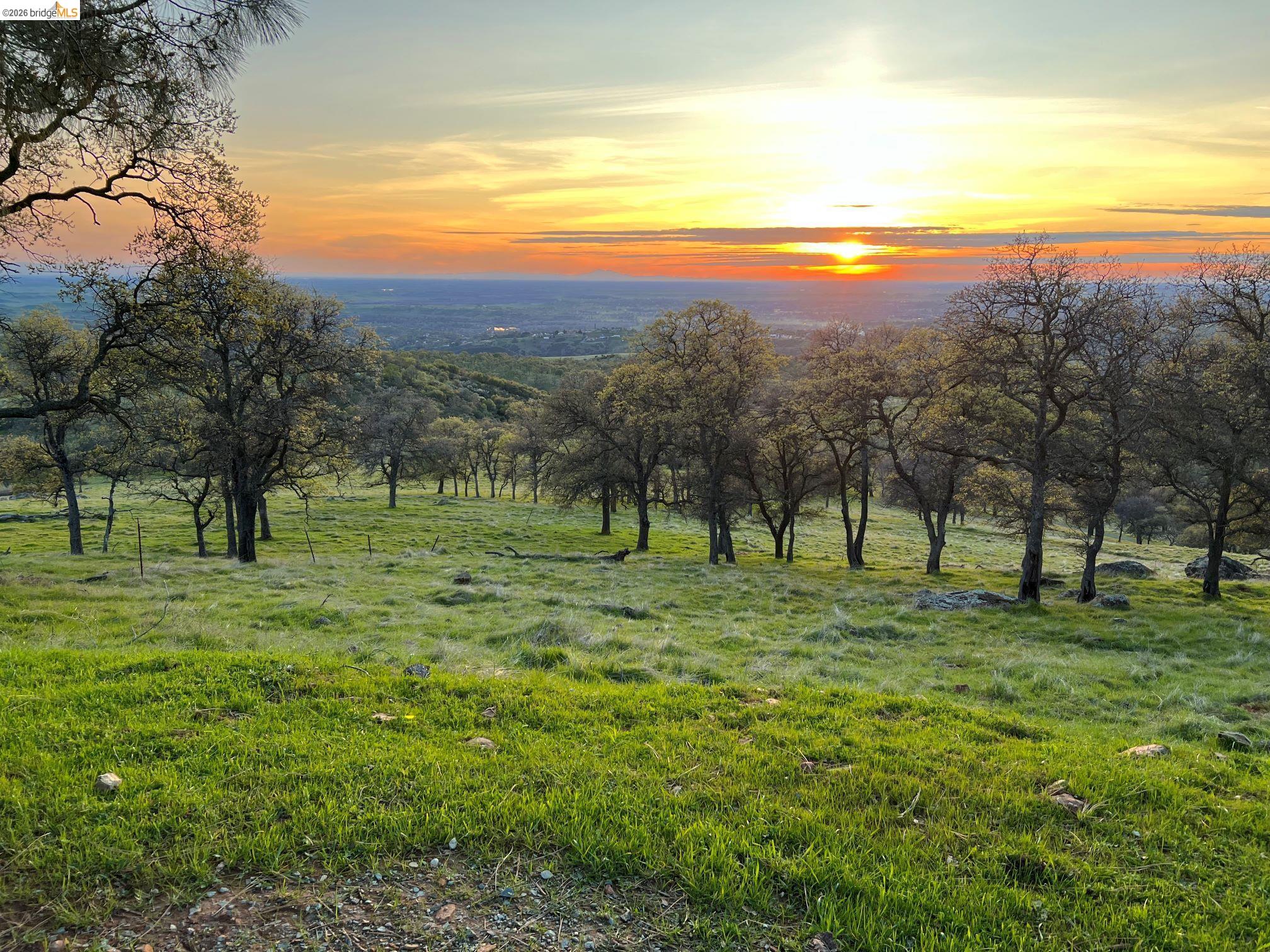 Palomino Ridge Rd