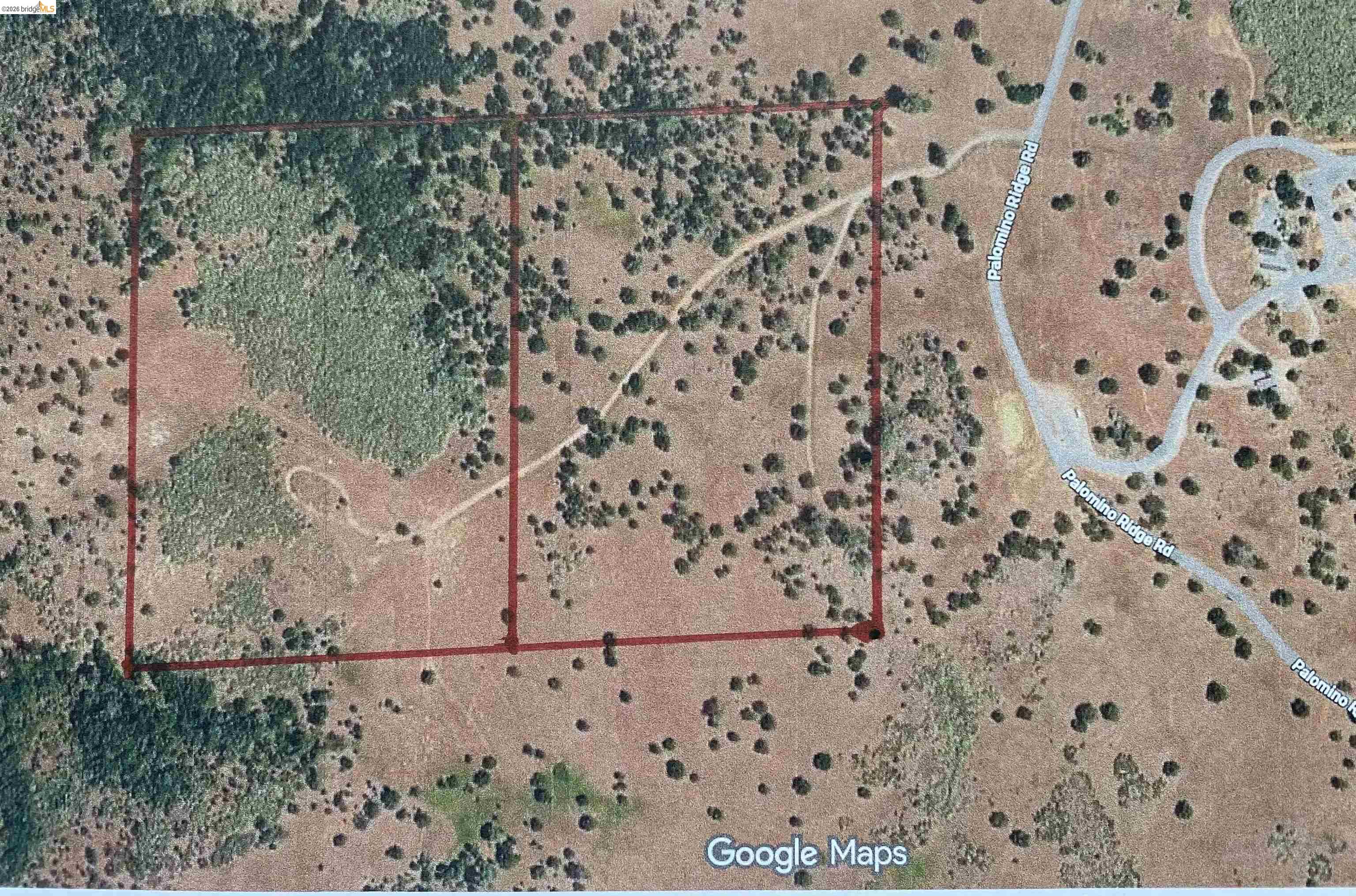 Palomino Ridge Rd