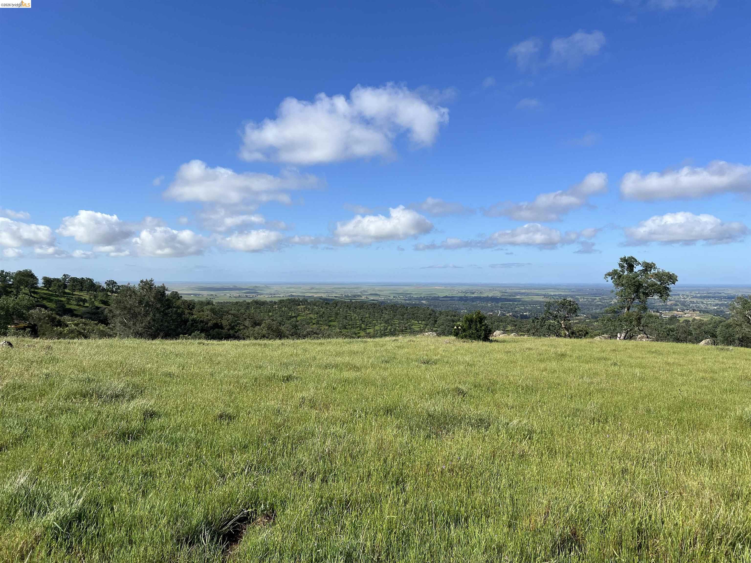 Palomino Ridge Rd