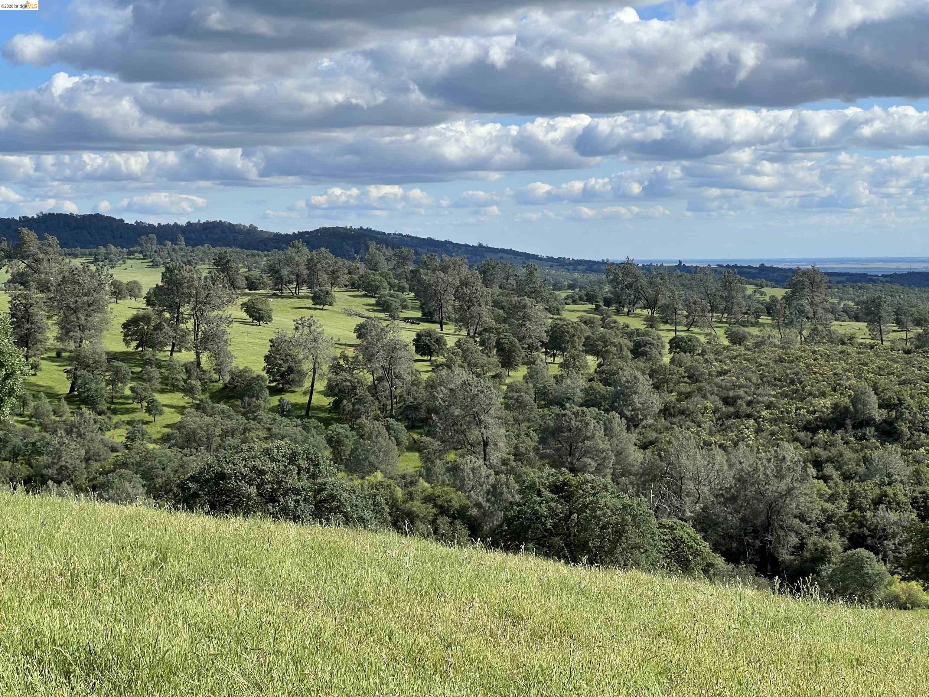 Palomino Ridge Rd