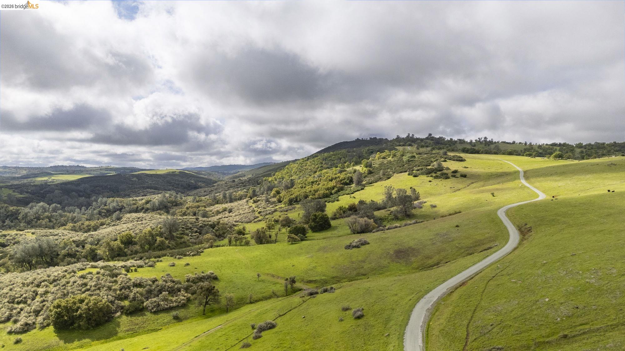 Palomino Ridge Rd