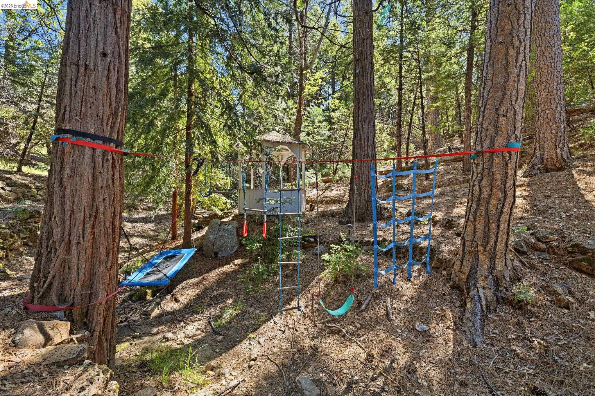 23420 Tanager Dr