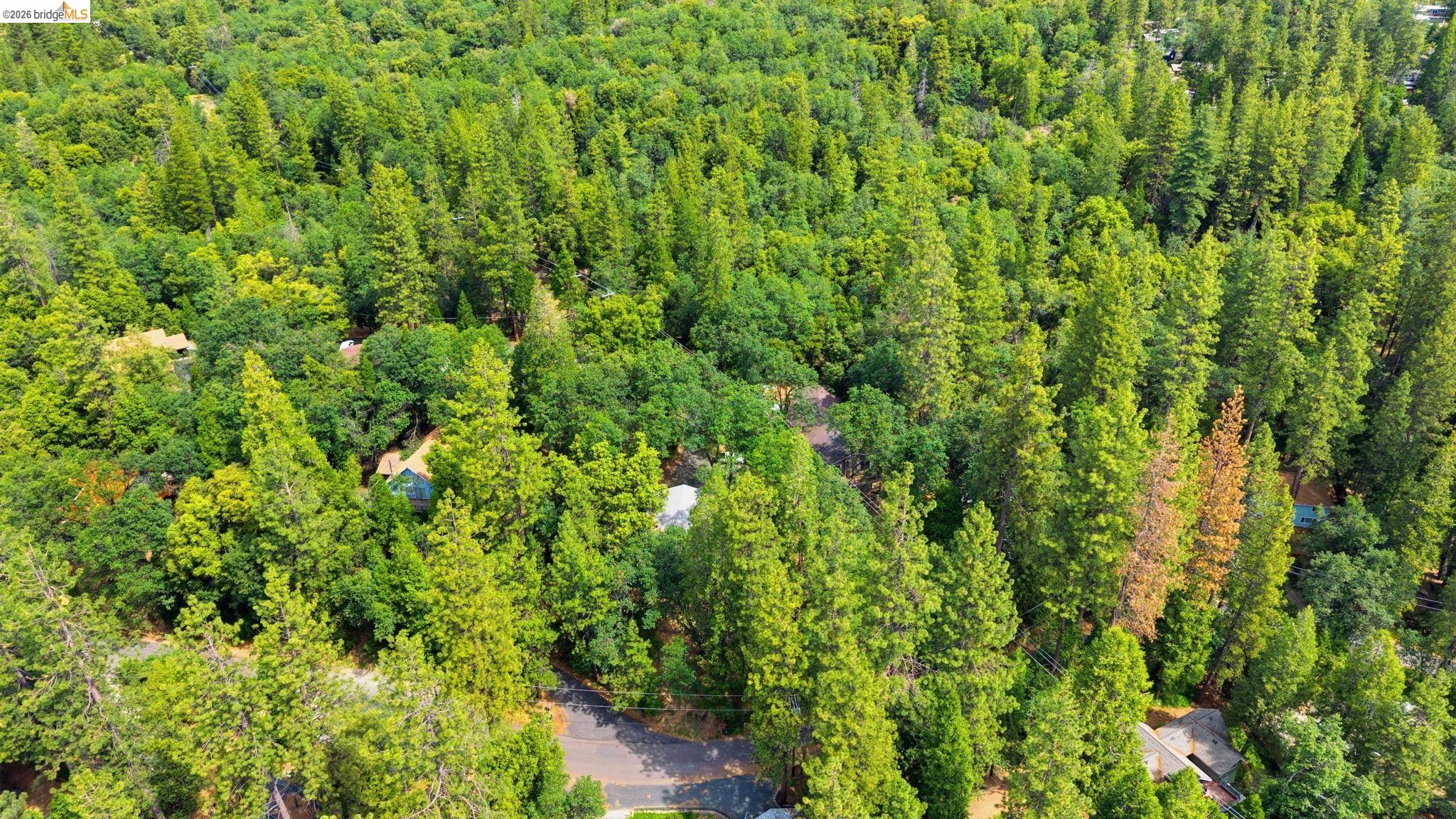 23303 Bluebird Hill Rd