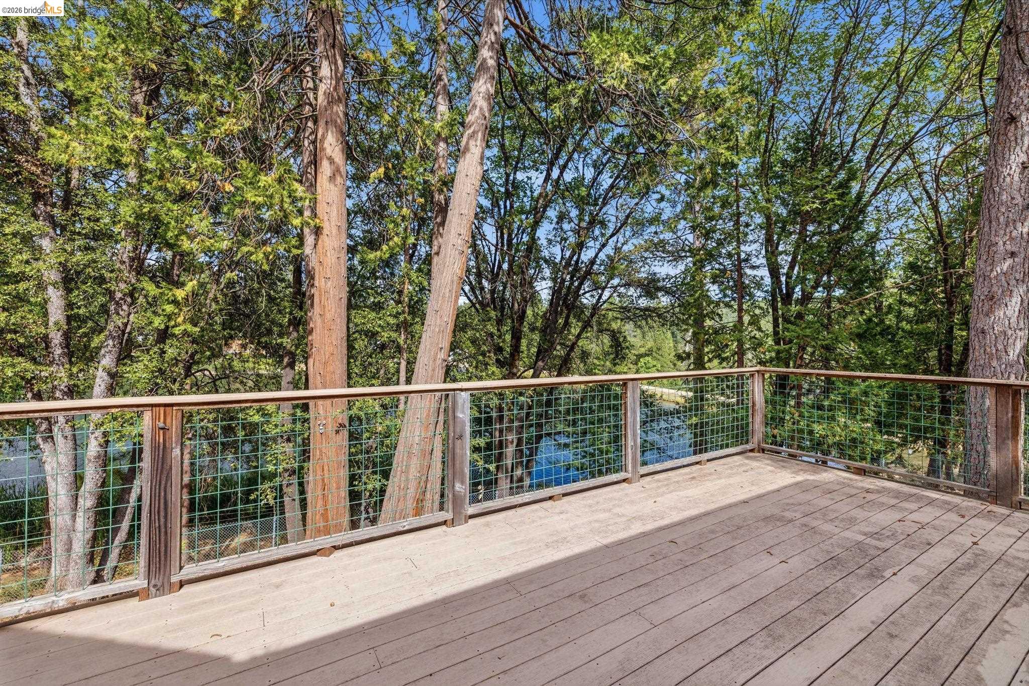 22995 Thrush Pl