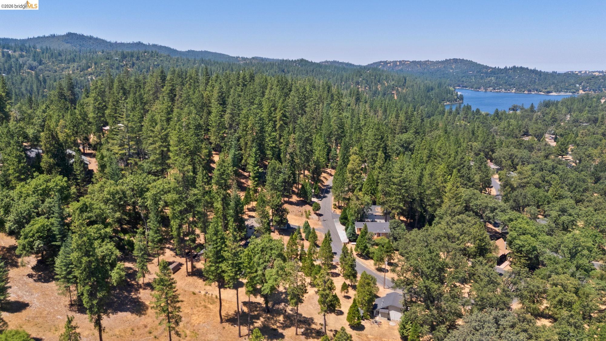 20785 Buttercup Cir