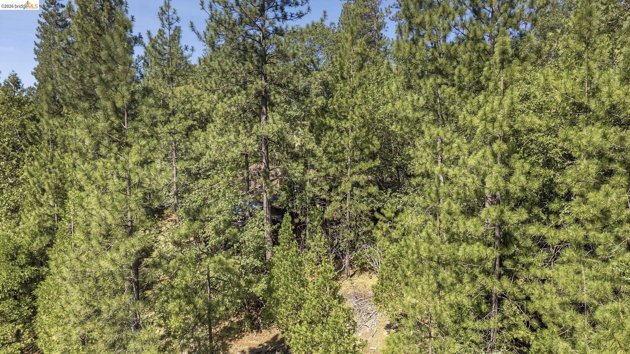Lot598 Nile River