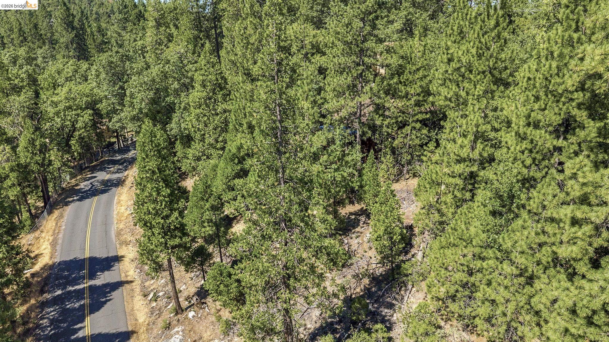 Lot598 Nile River
