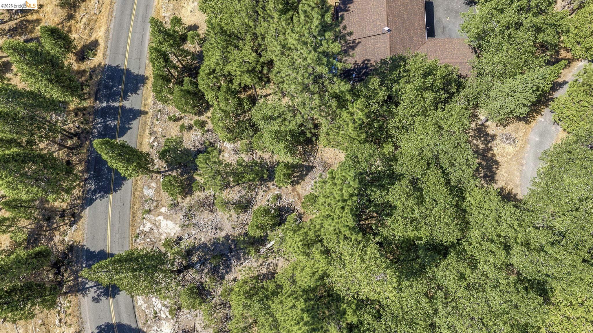 Lot598 Nile River