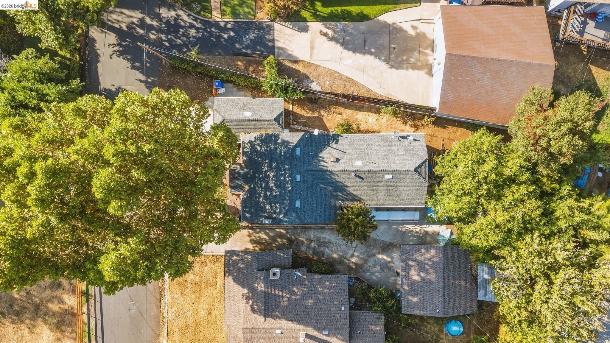 81 Palemone St